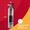 First Alert DHOME1 Rechargeable Standard Home Fire Extinguisher, UL Rated