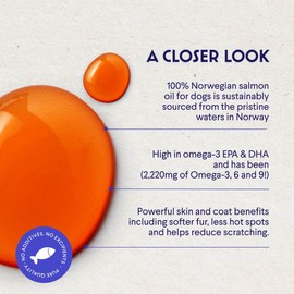 Premium Salmon Oil for Dogs – Pure Norwegian Salmon Oil High in Omega 3 EPA & DHA -Powerful Fish Oil for Dogs Skin & Coat, Hip & Joints, Allergies & Itchy Skin – Omega 3 Fish Oil for Dogs-8oz Liquid