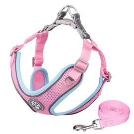 Dogs Kingdom Step in Dog Harness and Leash Set, No Pull Soft Mesh Pet Harness, Reflective Adjustable with Quick-Release BucklePuppy Vest for Small Dogs Cats,Pink,M