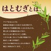 Orihiro 100% Japanese Hatomugi Tea, 0.2 oz (5 g) x