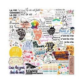 French Inspirational Stickers 50 Pcs Waterproof Motivational Quotes Sticker for Water Bottle Skateboard Luggage Laptop Bumper Computer Scrapbook Car,Vinyl Funny Positive Decals for Students Teachers