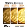 LIFENGSOLER Solar Strip Lights Outdoor Waterproof, 16.4FT 300LEDs Solar &