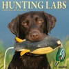Hunting Labs 2026 12" x 12" Wall Calendar