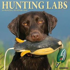 Hunting Labs 2026 12" x 12" Wall Calendar