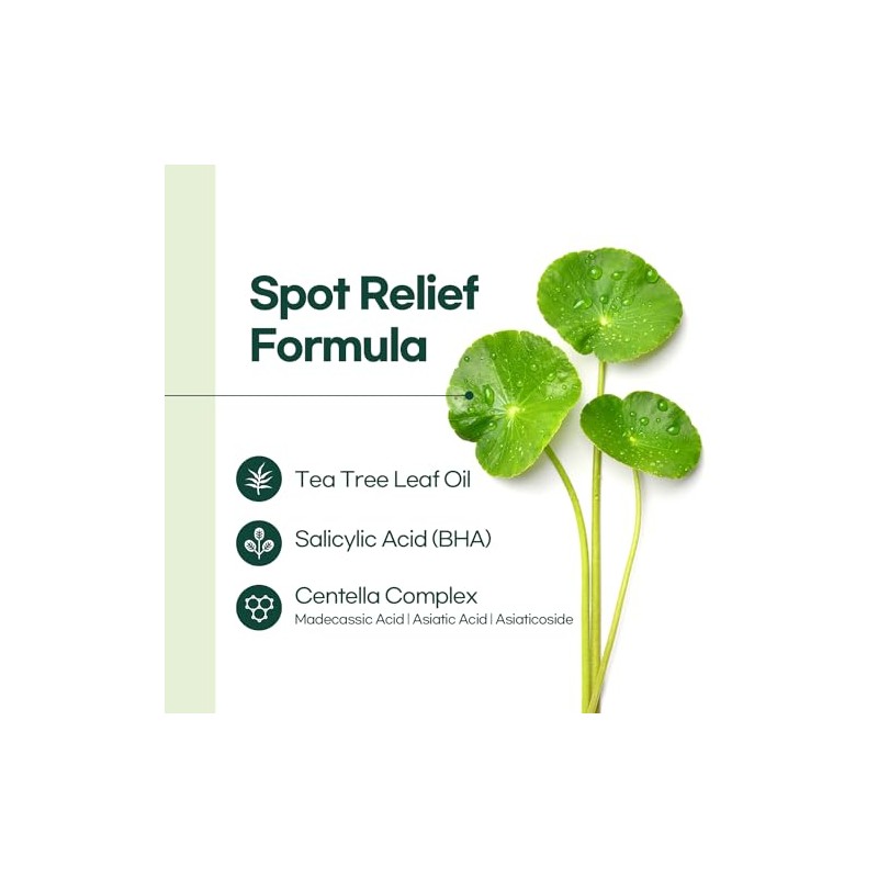 Petitfee Parches Centella Spot Hydrocolloid Acne Patch with Tea Tree