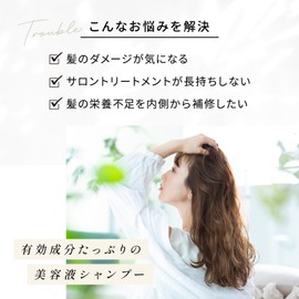 BRACE Amino Acid Shampoo, 10.1 fl oz (300 ml), Fruity Floral Scent, Keratin Shampoo