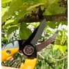 Chikamasa TSB-77B Chikamasa Limited Edition Small Pruning Shears, Yellow, Scissors