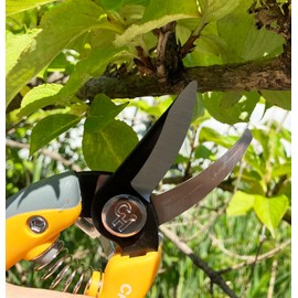 Chikamasa TSB-77B Chikamasa Limited Edition Small Pruning Shears, Yellow, Scissors