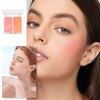 Blushers for Cheeks Make Up, Red Blusher Palette, Orange Powder