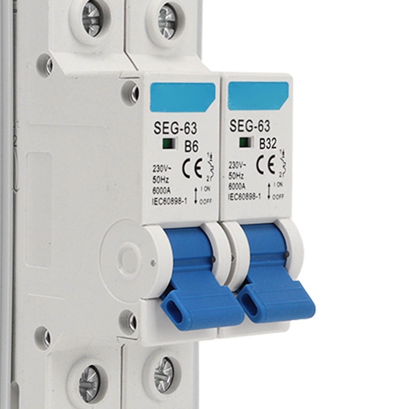 2 Poles Circuit Breaker MCB Miniature Leakage Breaker Waterproof Distribution