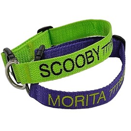 Collar identificador para perro, datos bordados en cinta, varios colores. Datos (sustituye placa) de identificación bordados.