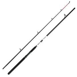 DAM Aqua-X Allround 2.40 m 100-200 g