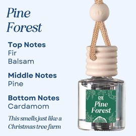 Scented Car Air Freshener - Long Lasting Car Diffuser - Last 60+ Days:_Pine Forest