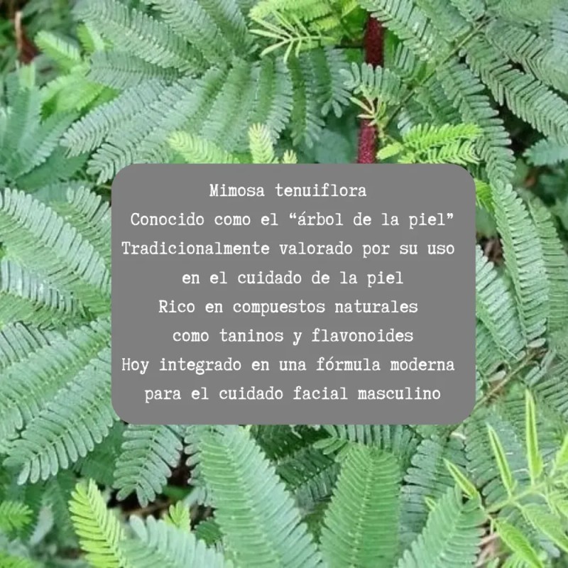 Crema De Tepezcohuite Fórmula Natural Para Regeneración