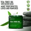Tea Tree Oil Moisturizing Cream | 16 oz