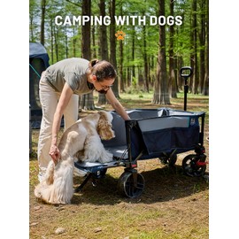 TIMBER RIDGE Beach Wagon with Tailgate, 300lbs Heavy Duty Collapsible Wagon with All-Terrain Big Brakes Wheels, Foldable Utility Cart for Sand Sports Shopping, Blue