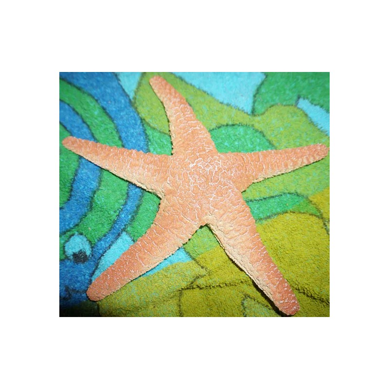 Sea Creature Replicas - Rubber/PVC - AAA