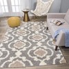 Cozy Moroccan Trellis Gray/Cream 3'3" X 5' Indoor Shag Area