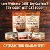 Wellness CORE Grain Free Dry Cat Food, Original Recipe, Turkey,