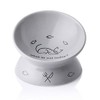 SWEEJAR Ceramic Raised Cat Bowls, Slanted Cat Dish Food or Water Bowls, Elevated Porcelain Pet Feeder Bowl Protect Cat's Spine, Stress Free, Backflow Prevention (Grey)