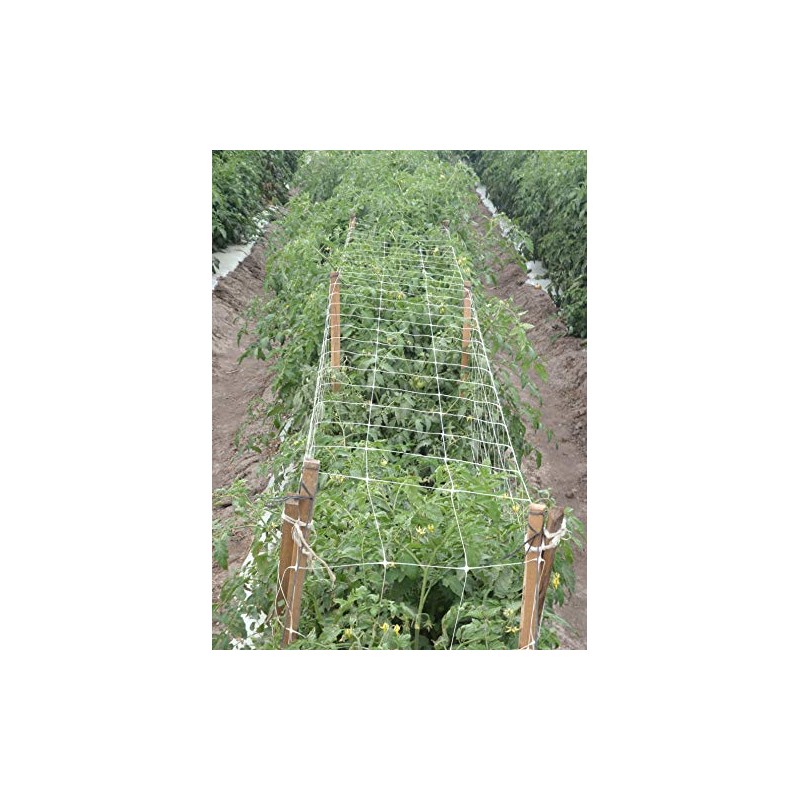 Tenax 2A150029 Hortonova Plant Trellis 48" x 250' White