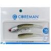 Coreman Iron Jig Head #041 Silver Head/Shallow Bait IJ-16
