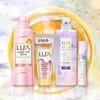 LUX Super Rich Shine Swell Care, Straight Beauty, Rainy Season