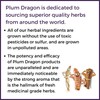 Cinnamon Bark | Rou GUI Chinese Herb That Warms The