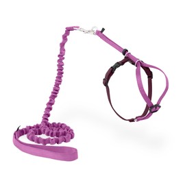 PetSafe Come with Me - Arnés de Gatito y Correa elástica, arnés para Gatos, NA, Rosa DE PULSEROBurgundy, Mediano                                      