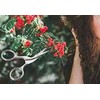 Newest Eyebrow Tweezers Brow Shaping Scissors (Silver)，Eyebrow Scissors