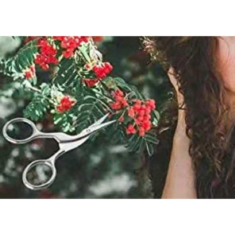 Newest Eyebrow Tweezers Brow Shaping Scissors (Silver)，Eyebrow Scissors