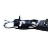Dog Collar, Studs, Wild Spikes, 5 Holes, Adjustable, Small, Medium,