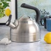 Kenmore Elite Costner 2.3 Qt Stainless Steel Tea Kettle w/Encapsulated
