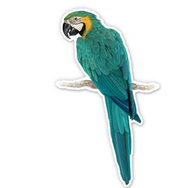 Blue and Yellow Macaw Vinyl Sticker - Car Phone Helmet - Select Size