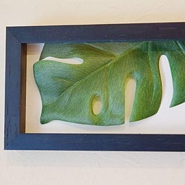 Monstera II Horizontal Black Leaf Frame Panel