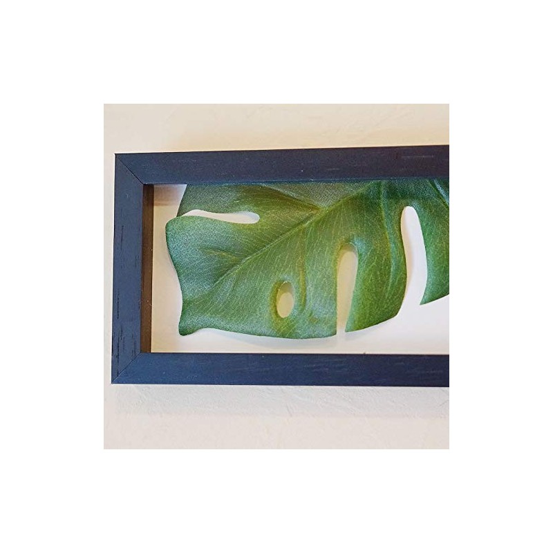 Monstera II Horizontal Black Leaf Frame Panel