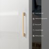 KNOKLOCK 10 Pack 10 Inch(256mm) Kitchen Cabinet Handles Champagne Bronze