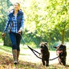 2 Dog Leash, 360° Swivel No Tangle Double Dog Walking