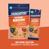 Crunchsters Crunchy Mung Beans, Plant-Based Protein Super-Snack and Salad Topper,