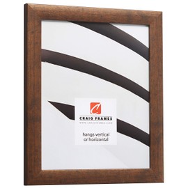 Craig Frames 23247881 10 x 13 Inch Picture Frame, Rustic Copper, Set of 4