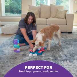 Outward Hound by Nina Ottosson Puzzle Bitez USA Made Dog Treats, Pumpkin Flavor, Bite-Sized Training Reward and Interactive Puzzle Toy Treats, 7.5oz