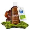 BEAUVITAL Organic Chaga Extract Liquid | Full Extract Inonotus Obliquus