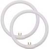 Konideke 5.5 Inch Outside Diameter,T4 12W 6400K Circular Fluorescent Bulb,Replacement