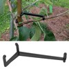 Sonew 20 Pieces Fruit Branch Spreader Tree Staking and Supports