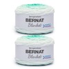Bernat Blanket Perfect Phasing - 2 Pack of 220 Yards/10.5