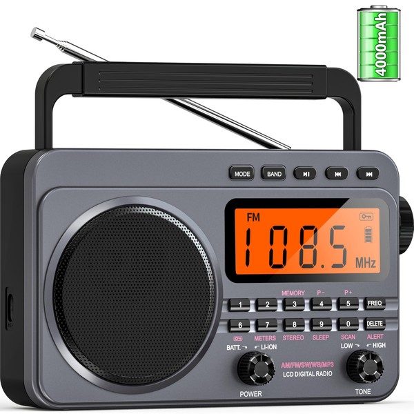 Portable Radio with Best Reception, 4000mAh Rechargeable Digital Radio AM