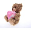 Plushland Stuffed Mocha Heart Bear - Plush Bear Toy for
