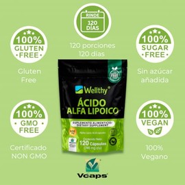 WELLTHY - Ácido Alfa Lipoico 600mg 120 CÁPSULAS. Solo una Cápsula al día. Reforzado con Cúrcuma, NON GMO, Vegan Friendly, VCaps Tecnologí...
