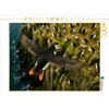 CALVENDO Puzzle Puffin in Flight on The Cliff | Size