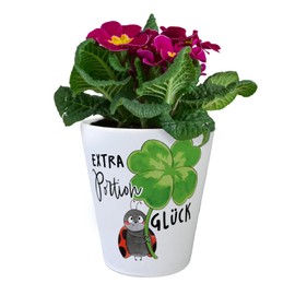 speecheese Ladybird Flower Pot with Saying Extra Portion Lucky Ladybird Pot with Clover Mushroom Lucky Charm Greetings for Health in Spring